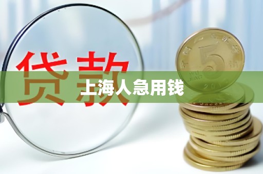 上海人急用钱