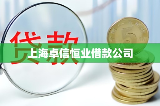 上海卓信恒业借款公司