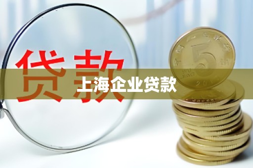 上海企业贷款 上海企业贷款